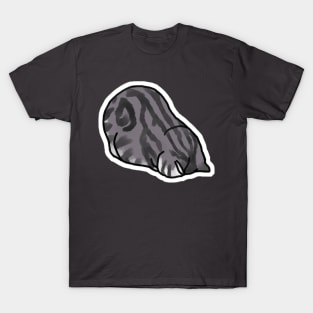 Faceplant Cat T-Shirt